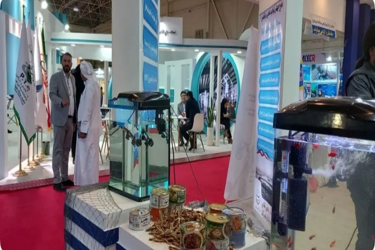 نمایشگاه 