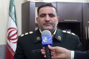 ۵۹ راس احشام قاچاق در آبدانان کشف شد