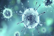 آخرین آمار مبتلایان به کرونا در جهان/  شمار مبتلایان از مرز ۷ میلیون نفر گذشت
