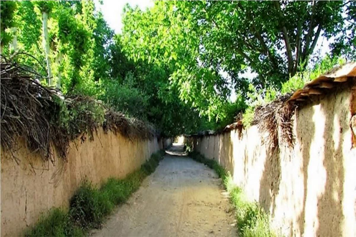 باغات قصردشت شیراز