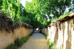 خیز بلند شهرداری شیراز برای حفظ باغات/ تسریع طرح‌های آبرسانی و زیرساختی در دستور کار مدیریت شهری 