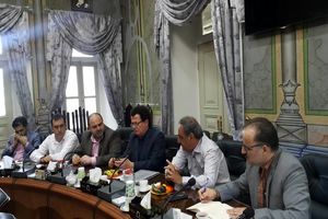 ساختار کمیسیون های تخصصی شورا سنتی، متکی به شخص و سلیقه ای است