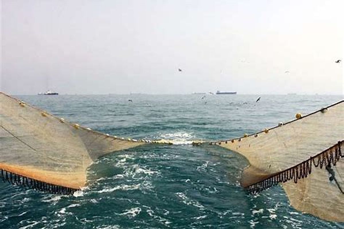 صید غیرمجاز