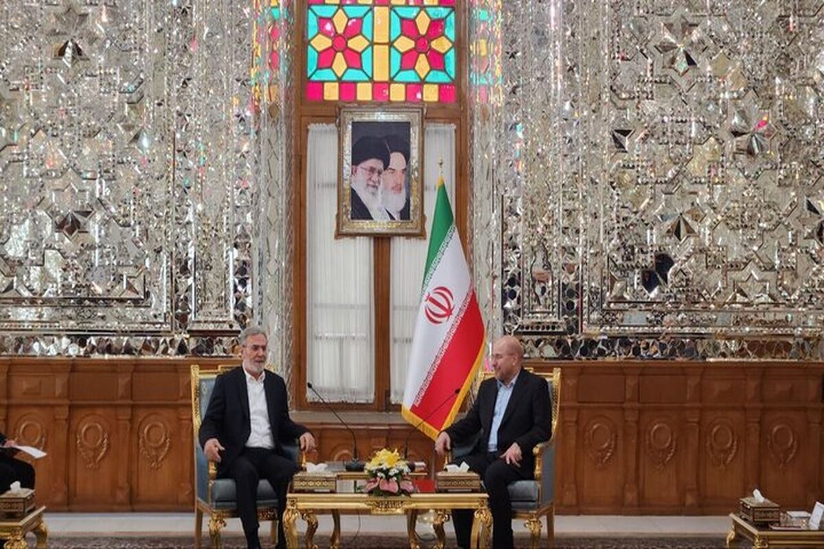 زیاد نخاله