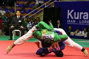 عمده زحمات هیات ها و فدراسیون های ورزشی بر دوش کمیته هاست