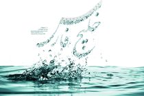 نهمین جشنواره ملی خلیج فارس به ایستگاه پایانی رسید