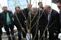 کاشت نهال توسط رییس مجلس شورای اسلامی