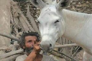 راهیابی مستند «خر» به جشنواره استونی