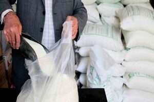 توزیع ۱۸۶۰ تن شکر و روغن تنظیم بازار در خراسان رضوی آغاز شد