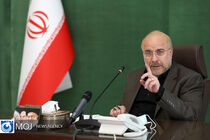 ارزش گمرکی خودرو منحصر به حمل و نقل ایمن نیست/ سود بازرگانی باید توسط هیئت وزیران تعیین شود