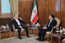 دبیر شورای راهبردی روابط خارجی با عباس عراقچی دیدار کرد