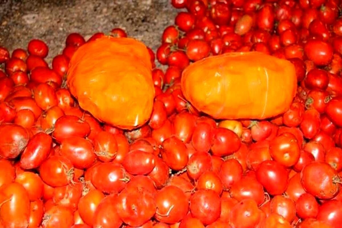 کشف+تریاک+در+بار+گوجه