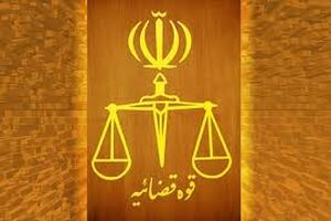 تسلط مقامات قضایی در هیئت های اجرایی، ضامن سلامت انتخابات است