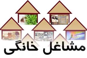آموزش مهارت‌های شغلی خانگی زودبازده به سوادآموزان فارس