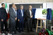 حدود ۷۰۰ همت برنامه سرمایه گذاری در استان فارس تعریف شده است