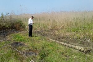 جلوگیری از تصرف اراضی تالاب انزلی