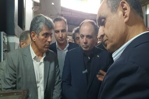 انگیزه شالیکاران امسال دوچندان شده است