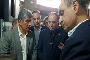 انگیزه شالیکاران امسال دوچندان شده است