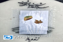 آسوده بخواب