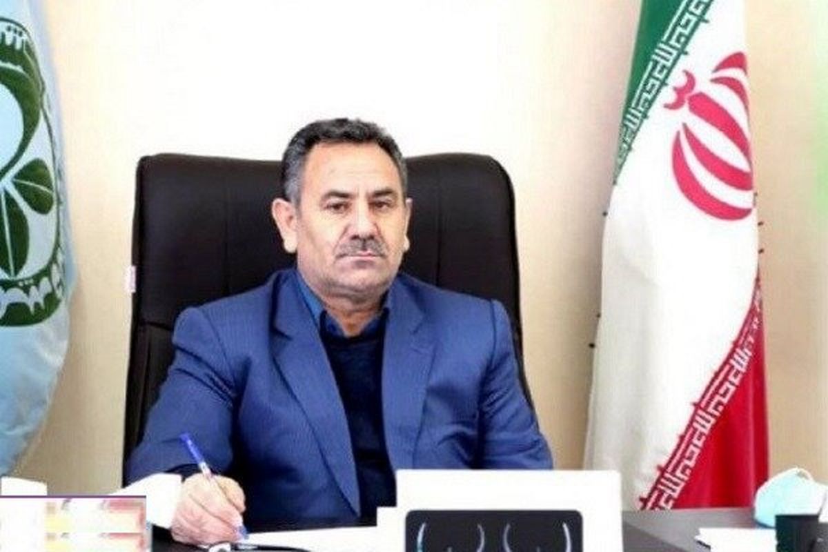 محسن زاده اردبیل