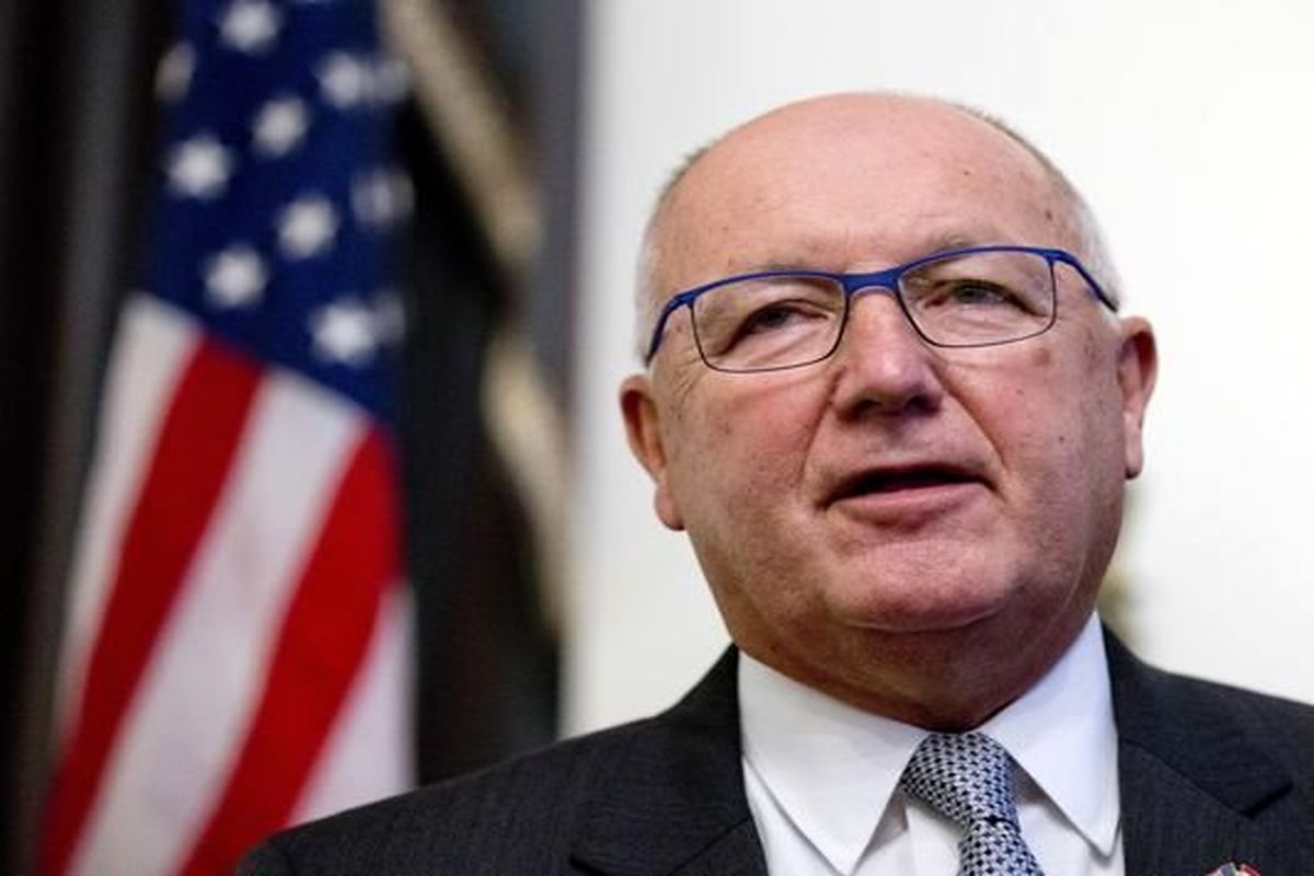 پیت هوکسترا