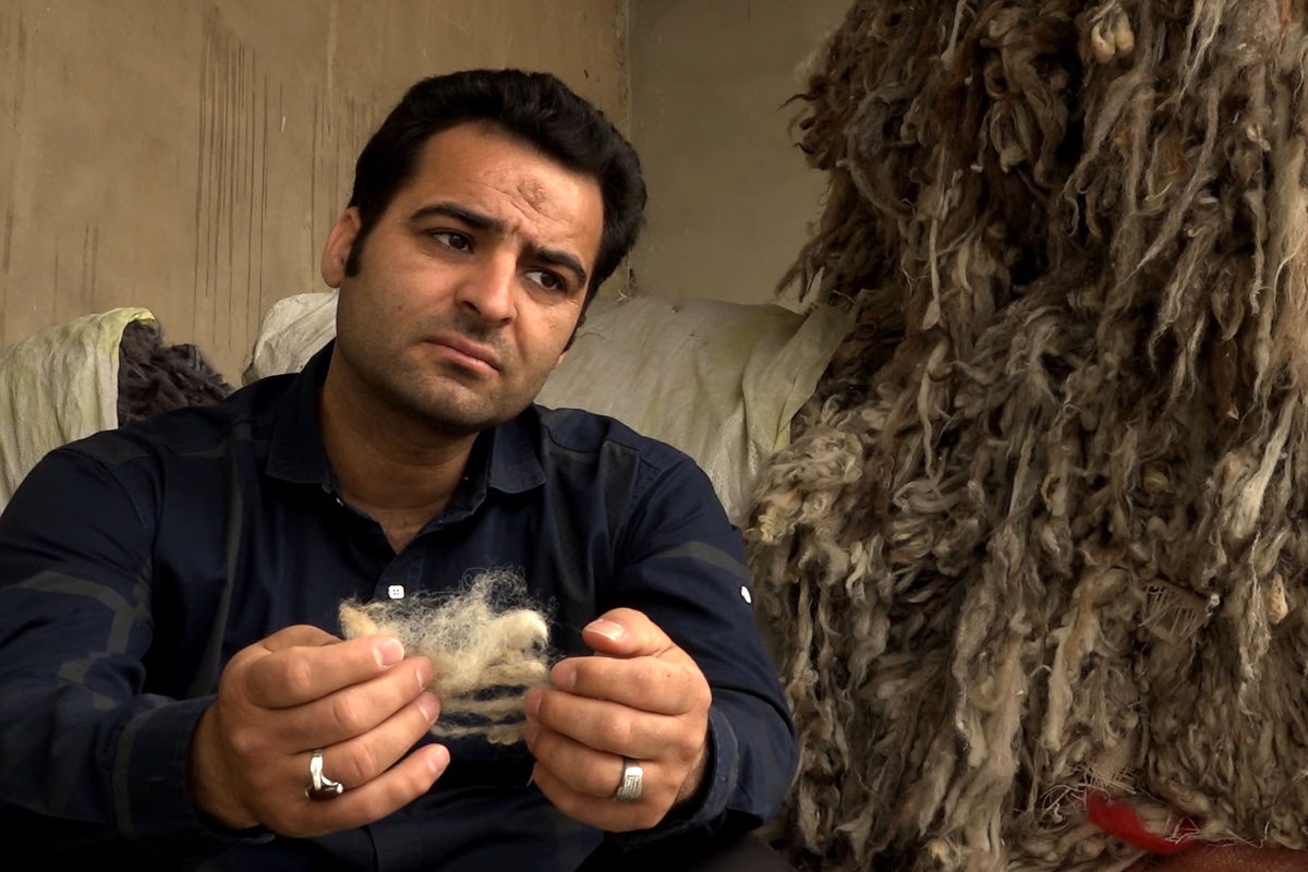 کارگردان یک چیز بی خاصیت