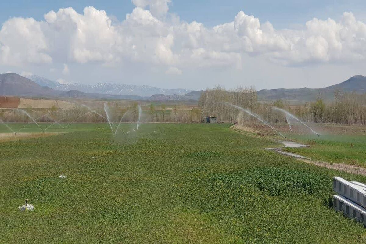 اراضی کشاورزی