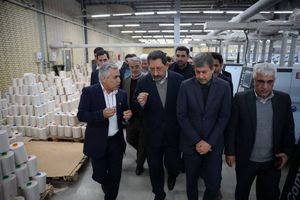 حمایت ویژه از صنایع کوچک و متوسط، برنامه در دست اجرای وزارت صنعت، معدن و تجارت است