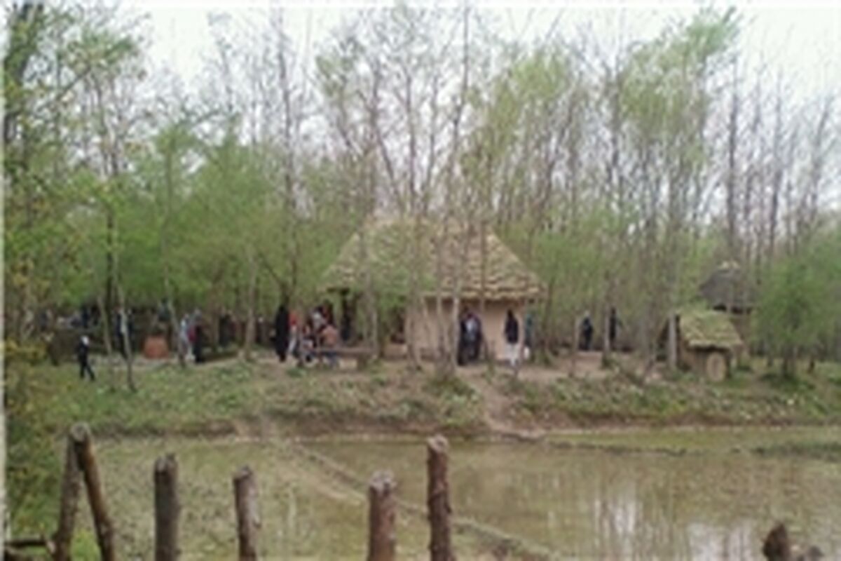 طبیعت