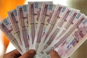اختلال در سایت ثبت‌ نام وام یک میلیون تومانی/ بازهم مشکل تکراری‌ عدم‌ زیر ساخت مناسب یقه مردم را گرفت