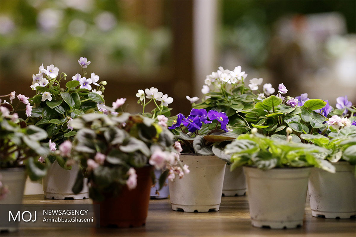 افتتاح هفدهمین نمایشگاه گل و گیاه تهران