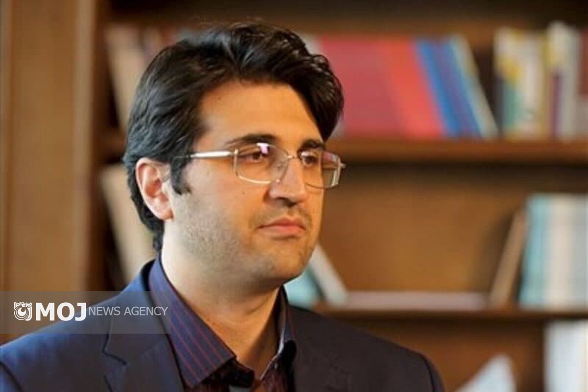 سیدمحمدهادی سبحانیان  سازمان مالیاتی کشور 