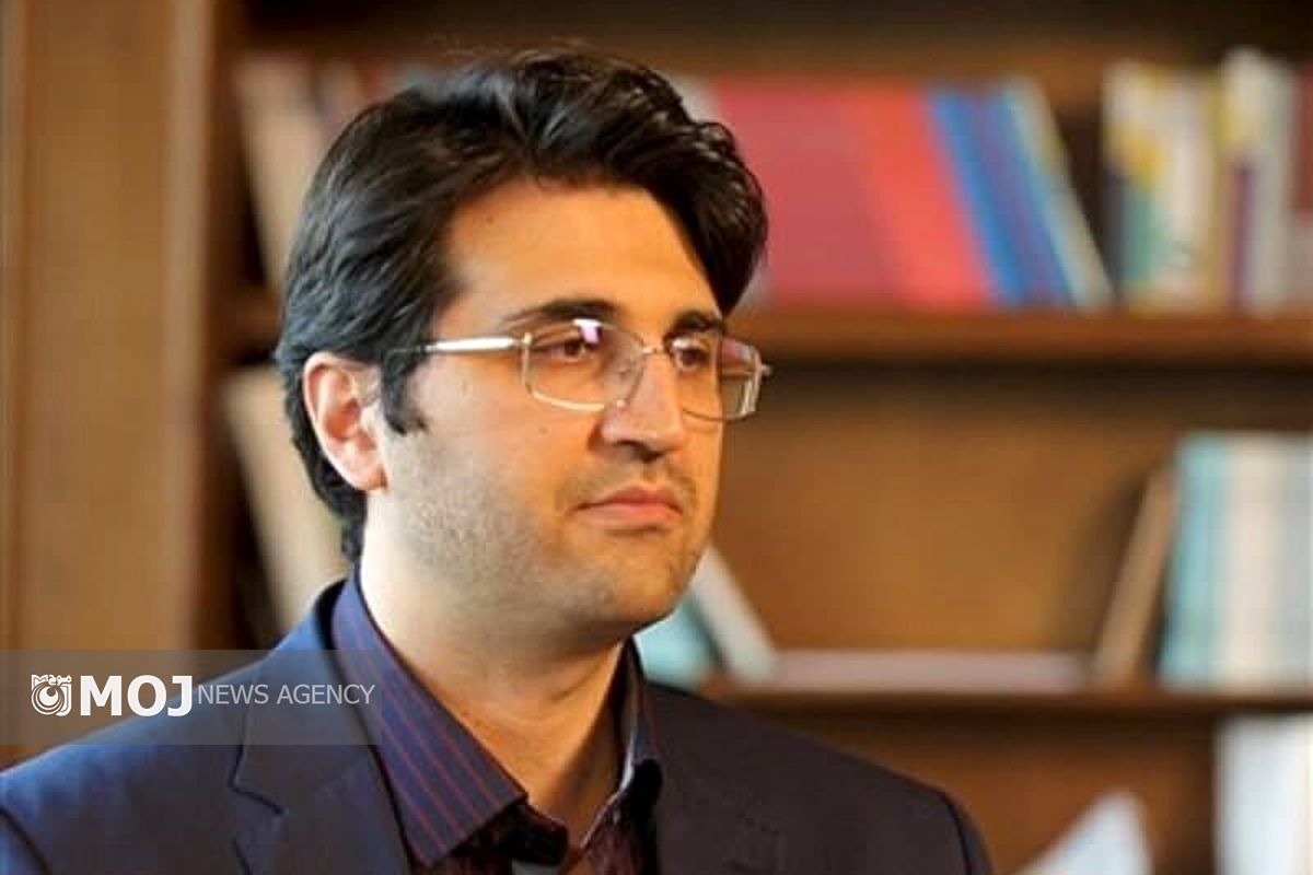 سیدمحمدهادی سبحانیان  سازمان مالیاتی کشور 