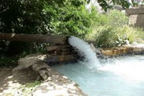 کاهش منابع آب زیرزمینی گنبدکاووس با کشت بی رویه شالی