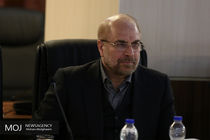 مجلس بر اتخاذ مواضع مناسب در قبال روند نادیده گرفتن حقوق ملت فلسطین تاکید کرده است