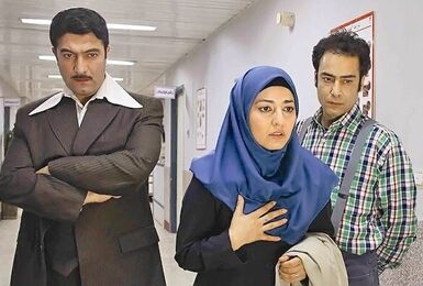 «باغ سرهنگ» با بازی مجید صالحی به شبکه تهران می‌آید