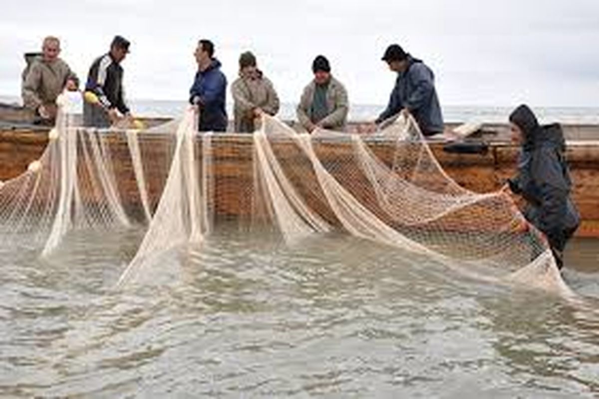 صنعت آبزیان