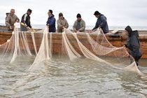 اشتغال۲۲۰هزارنفری درصنعت آبزی