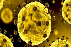 پرداخت بیش از 3 میلیارد تومان به مددجویان کمیته امداد در اصفهان