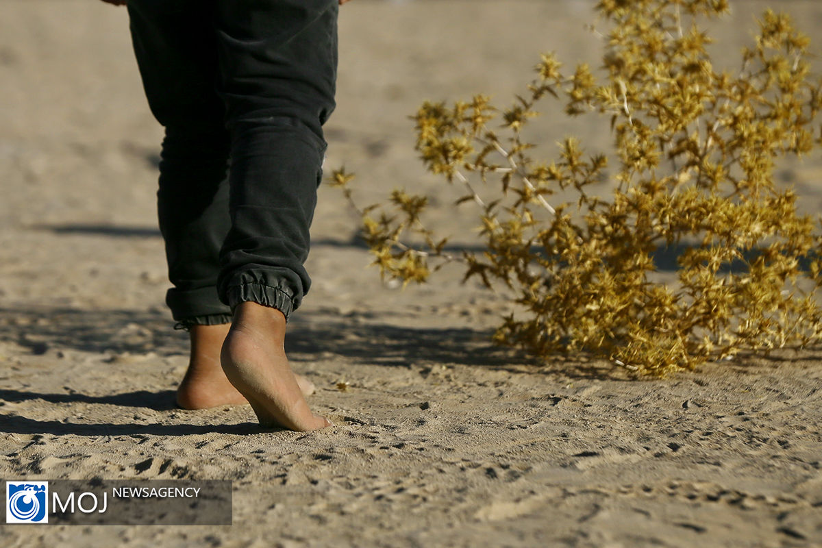 پیاده روی اربعین حسینی مسیر نجف به کربلا