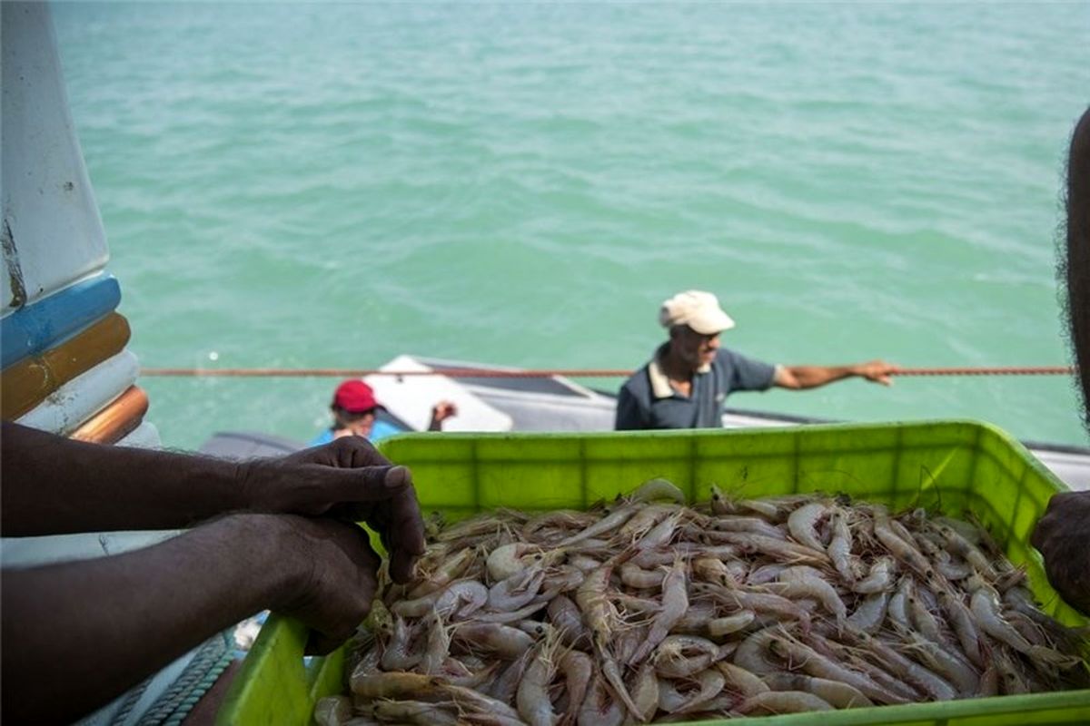 صادرکندگان آبزیان