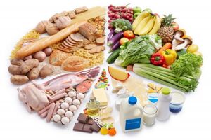 طرح بررسی ملی الگوی مصرف مواد غذایی خانوارها در کرمانشاه آغاز شد