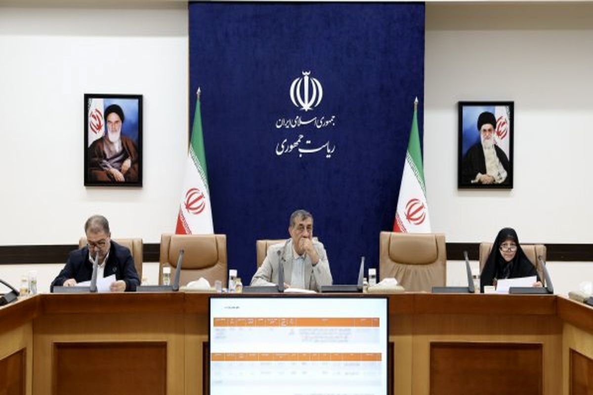 معاون اجرایی رئیس جمهور