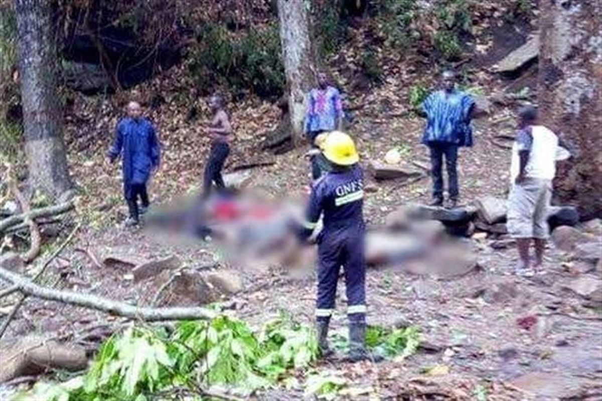 سقوط درخت در غنا