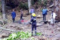 سقوط درخت در غنا 18 نفر را به کام مرگ کشاند و 20 نفر را زخمی کرد