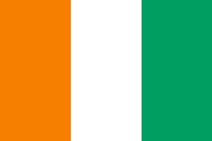 Ivorian defense minister tested positive for Coronavirus