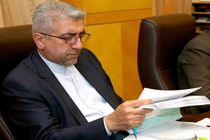 مذاکره با روسیه برای تمدید وام دولتی نیروگاه سیریک