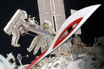 بزاق انسان چگونه درست شده است