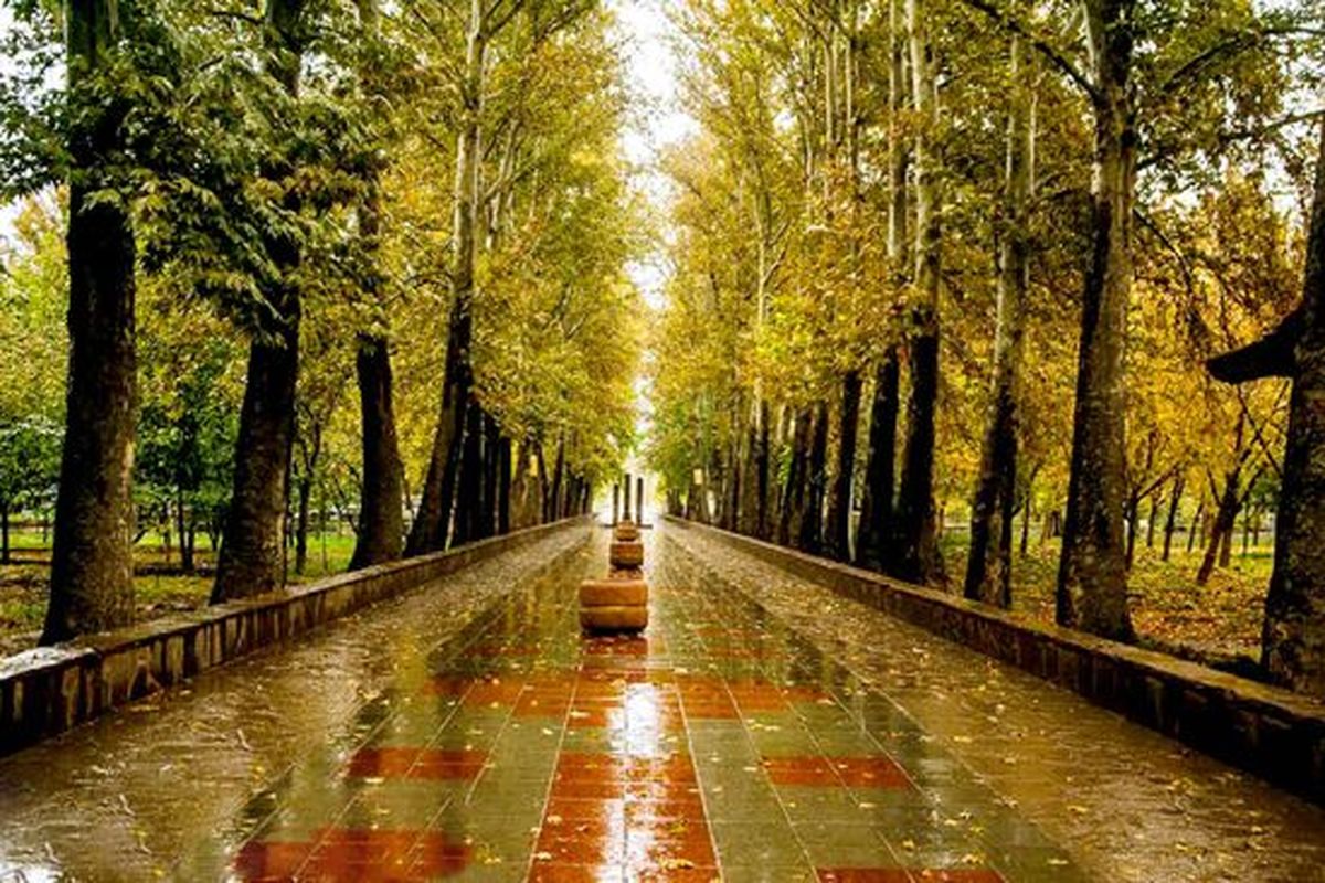 سامانه بارشی