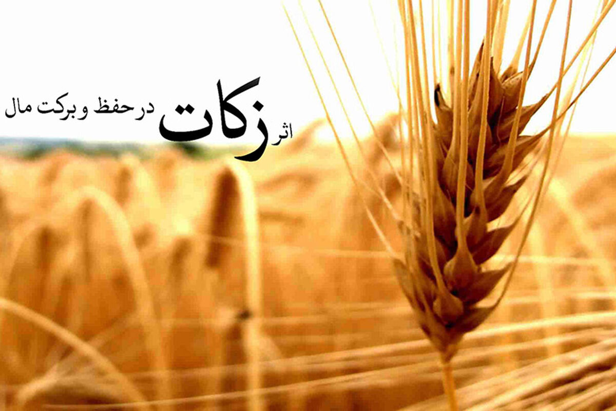 6ABaQSe7lkDo
